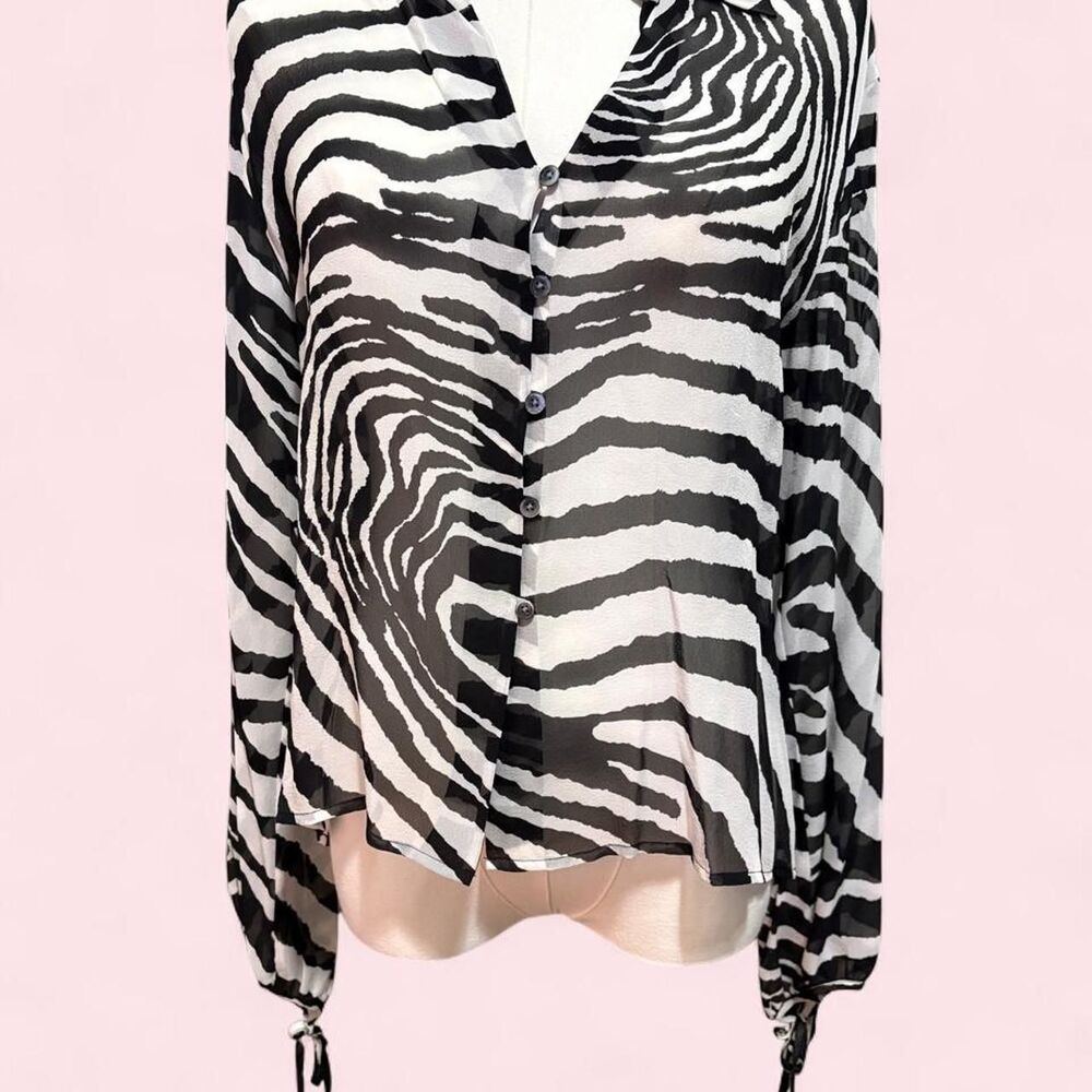 Y2K Express 100% Silk Zebra Striped Sheer Blouse